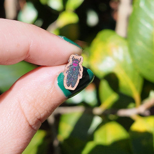 Cicada Earrings | Nickel Free Titanium Wooden Stud Earrings w/ Rubber Backings | 5 Options!