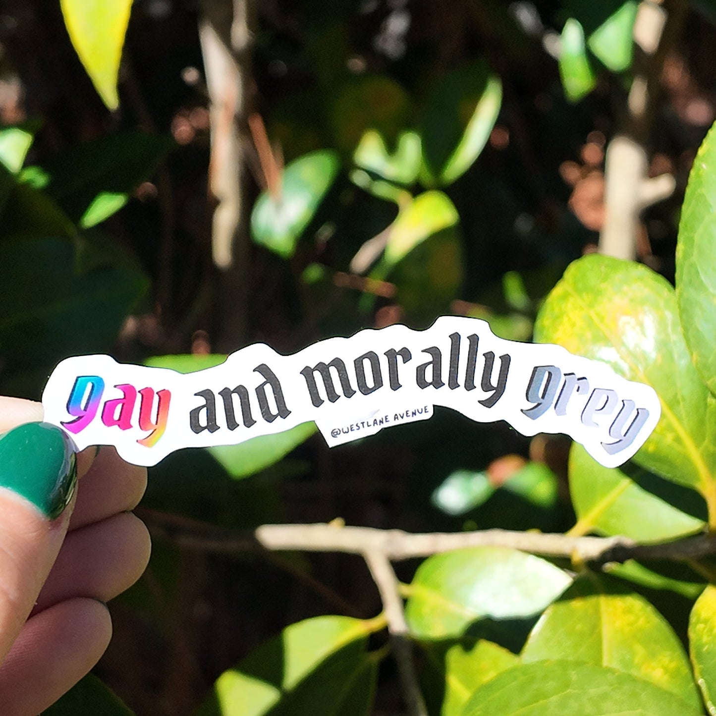 Gay and Morally Grey Sticker | Easy Peel | Water Resistant | Water Bottle & Laptop Stickers |