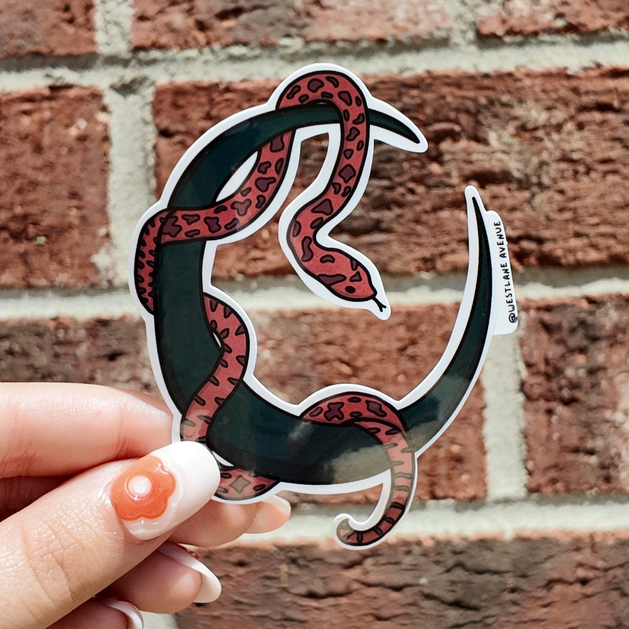 Snake and Moon Sticker | Easy Peel | Water Resistant | Water Bottle & Laptop Stickers |
