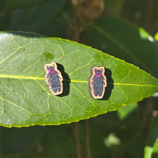 Cicada Earrings | Nickel Free Titanium Wooden Stud Earrings w/ Rubber Backings | 5 Options!