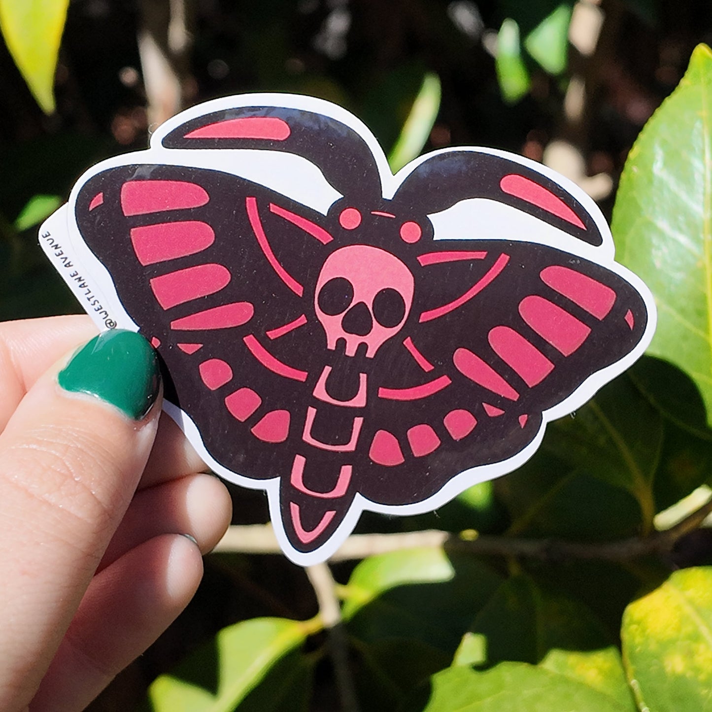 Death Moth Sticker | Easy Peel | Water Resistant | Water Bottle & Laptop Stickers |