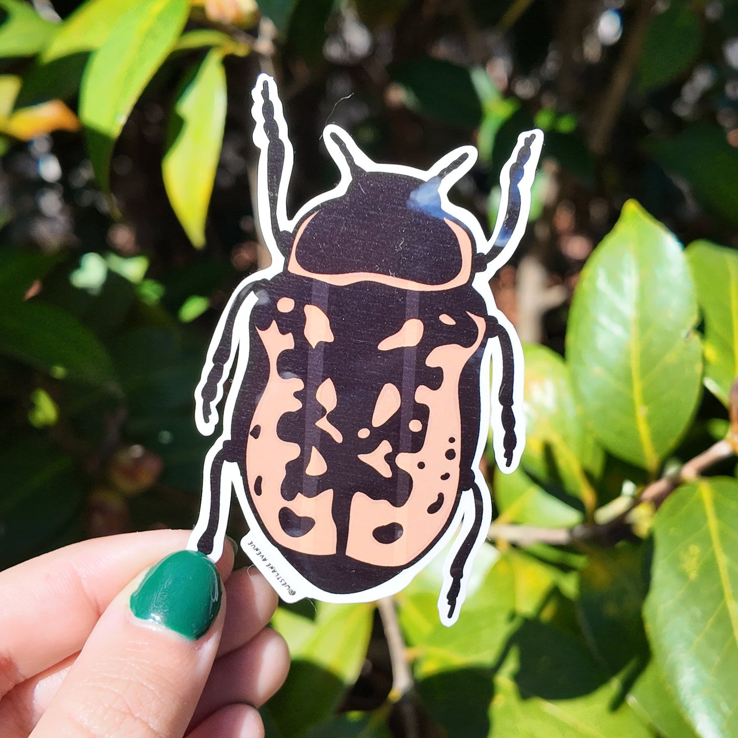 Beetle Sticker | Easy Peel | Water Resistant | Water Bottle & Laptop Stickers |