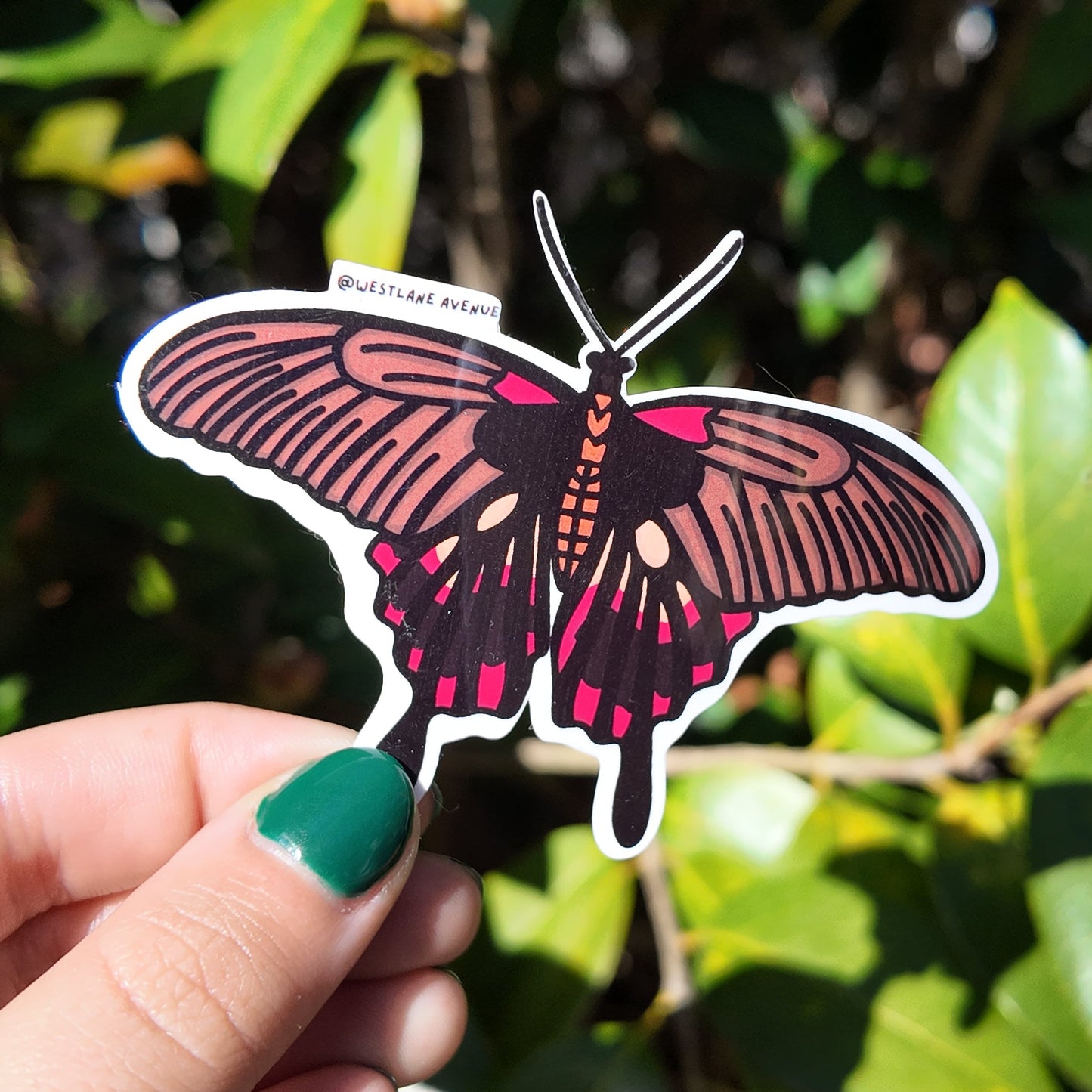 Brown Moth Sticker | Easy Peel | Water Resistant | Water Bottle & Laptop Stickers |
