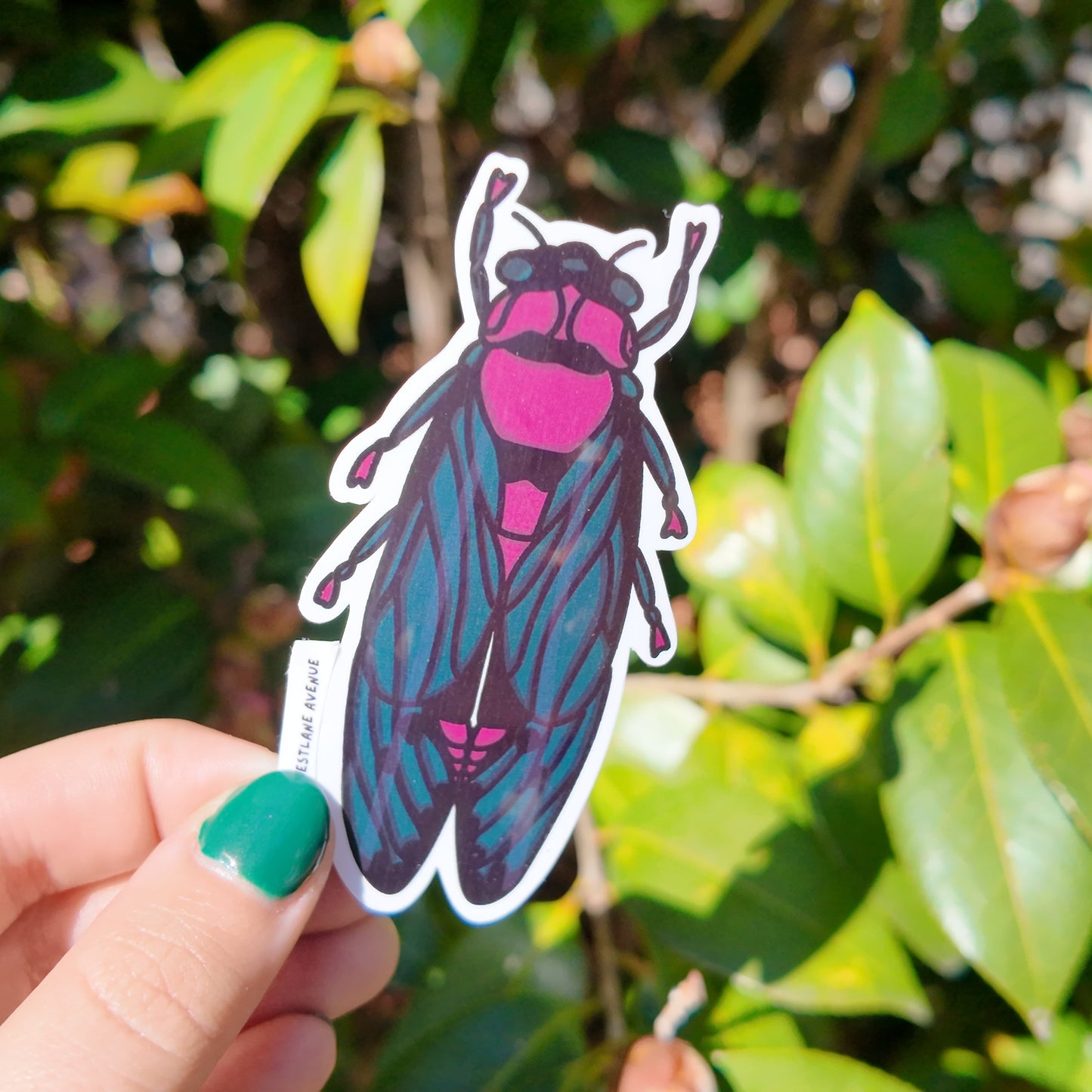 Cicada Sticker | Easy Peel | Water Resistant | Water Bottle & Laptop Stickers |