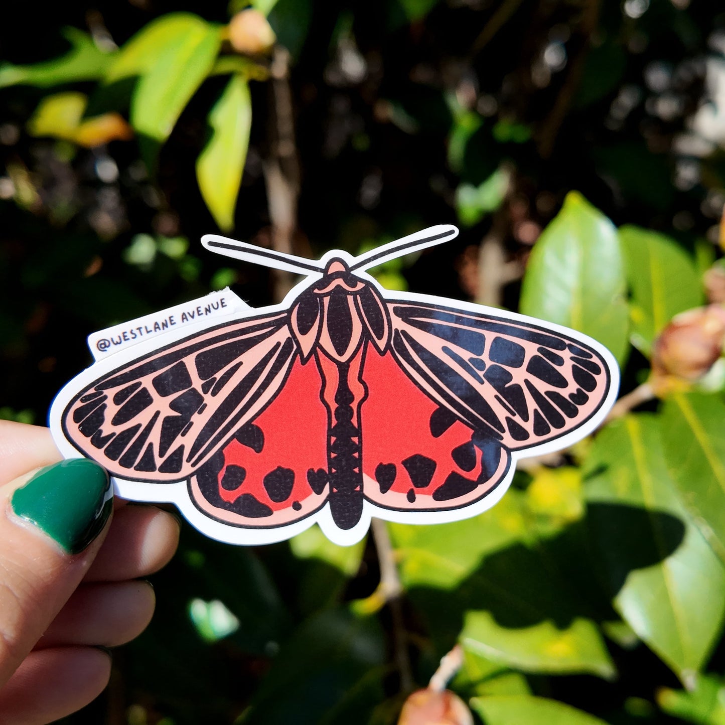 Orange Moth Sticker | Easy Peel | Water Resistant | Water Bottle & Laptop Stickers |