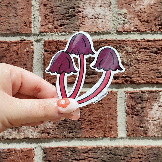 Mushroom Bundle Sticker | Easy Peel | Water Resistant | Water Bottle & Laptop Stickers |
