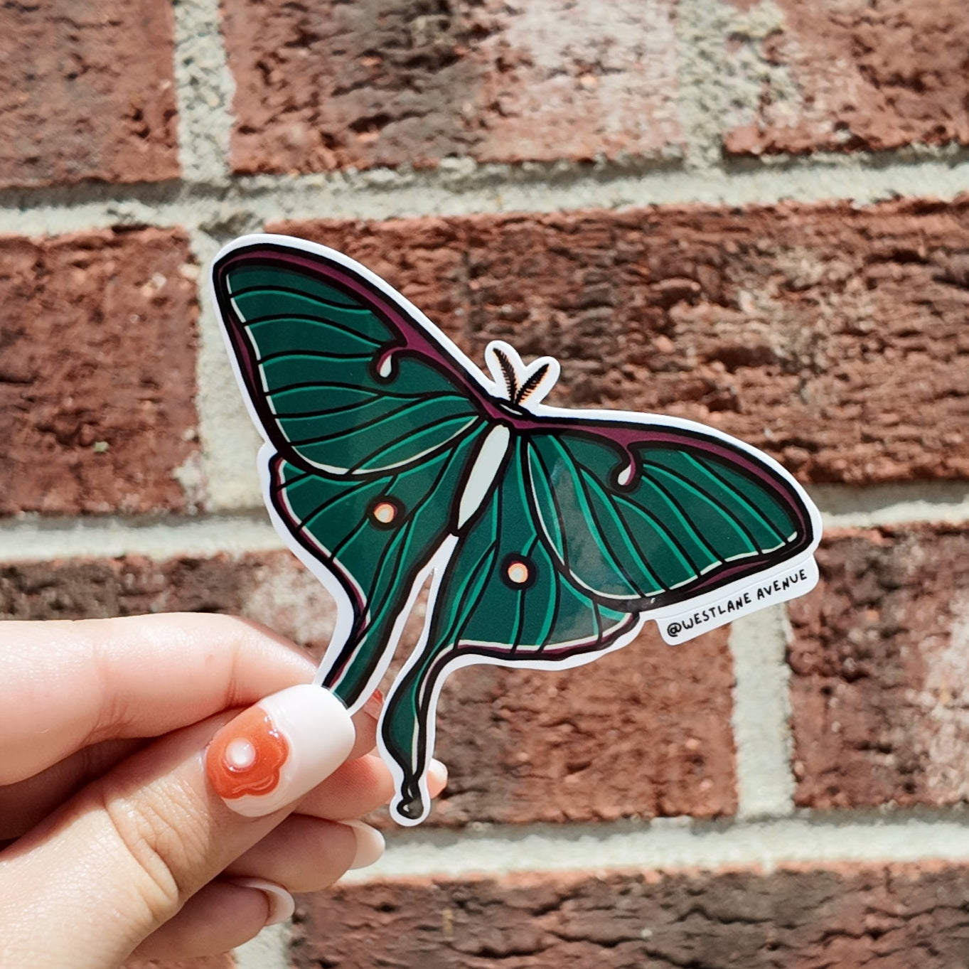 Luna Moth Sticker | Easy Peel | Water Resistant | Water Bottle & Laptop Stickers |
