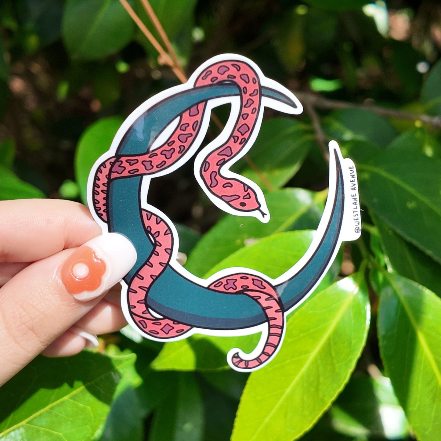 Snake and Moon Sticker | Easy Peel | Water Resistant | Water Bottle & Laptop Stickers |